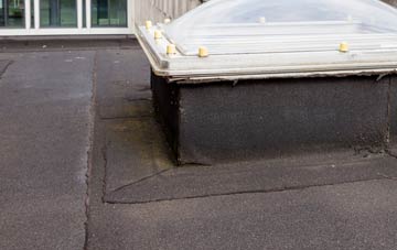 disadvantages of Colemans Hatch flat roofs